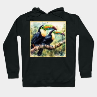 Exotic Tropical Toucan Birds Hoodie